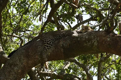 DSC_3991 (Large).JPG